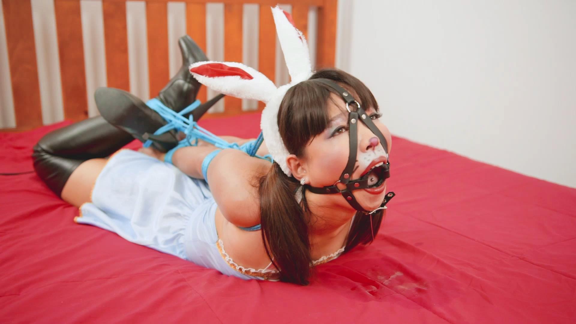 RestrictedSense 高清绳艺视频 RS-147-Movi